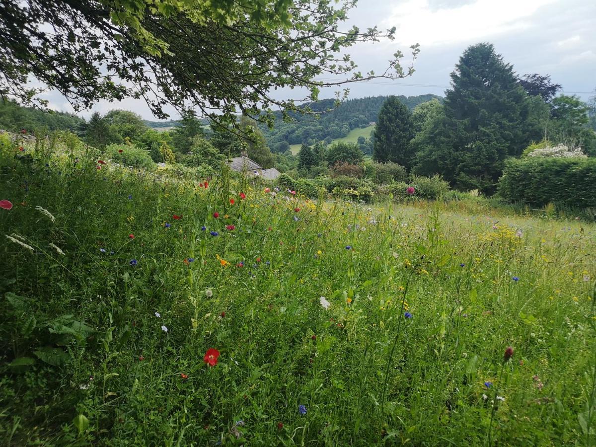 1 Bed Studio In Two Dales Near Matlock & Bakewell Εξωτερικό φωτογραφία